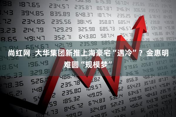 尚红网  大华集团新推上海豪宅“遇冷”？金惠明难圆“规模梦”